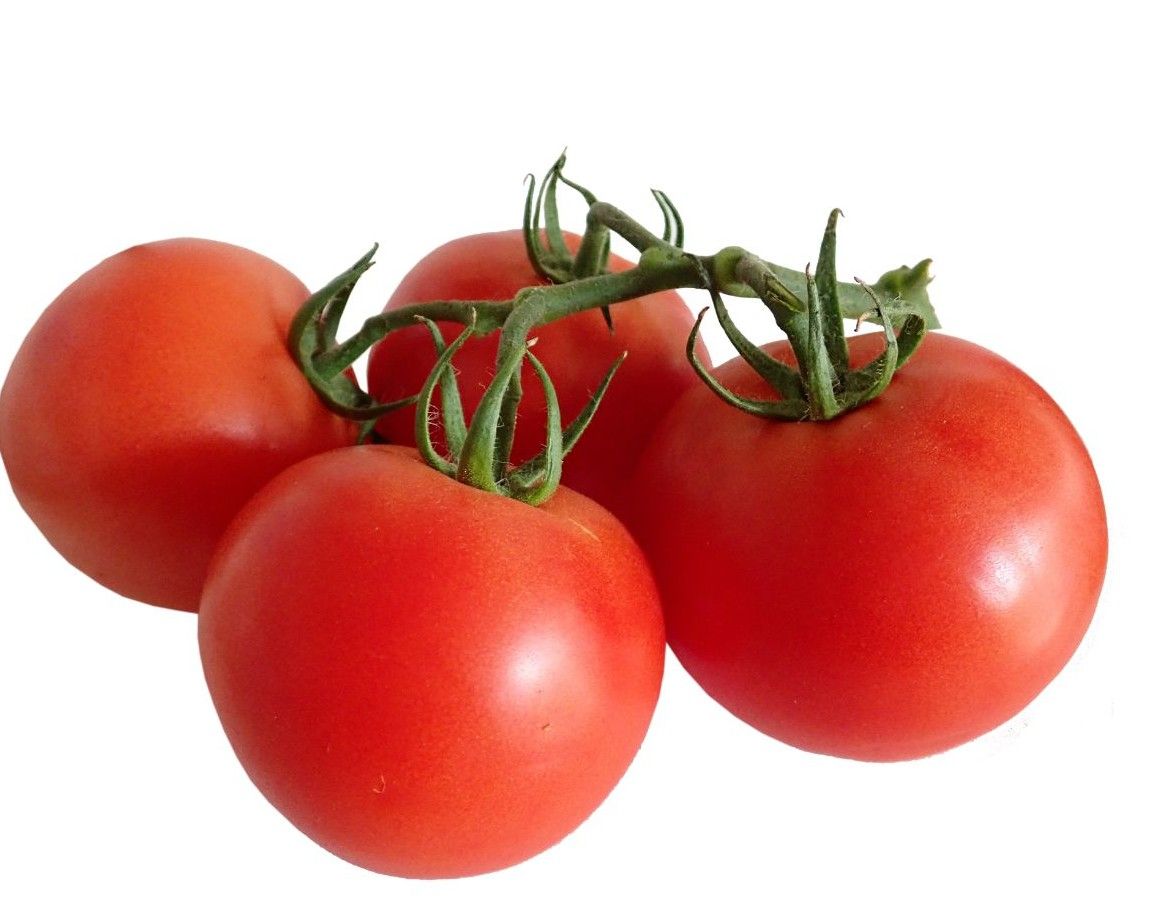 Tomatoes Sugar Bomb