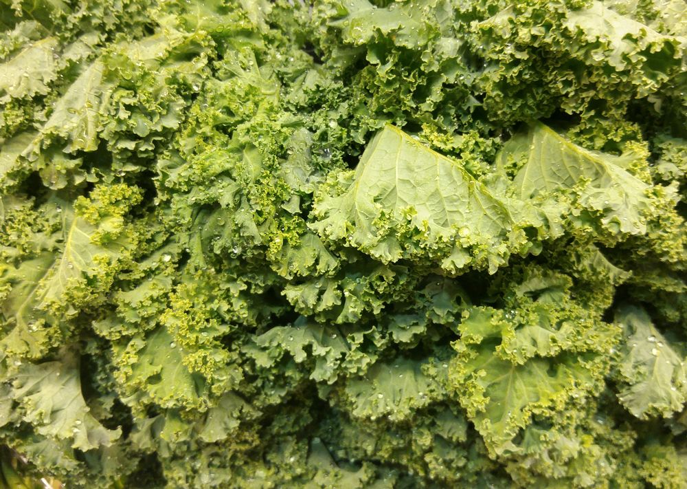 Kale