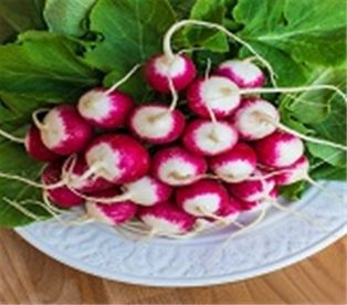 Bunched Radish