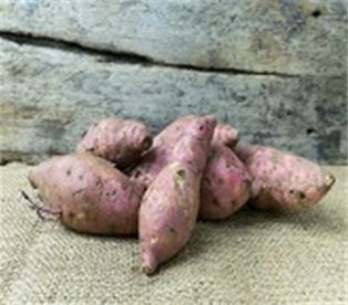 Organic Garnet Yams