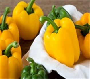 Peppers Imported Yellow