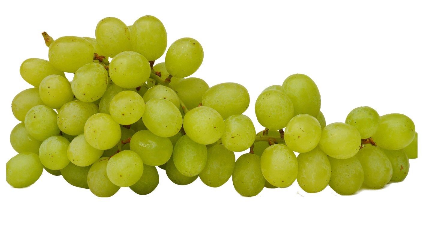 Cotton Candy Grapes