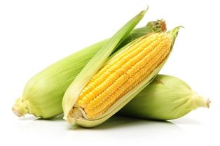 Corn