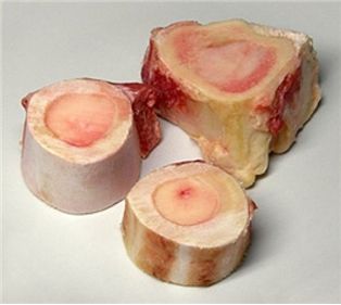Bone With Marrow