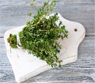 Thyme A&V
