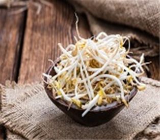 Bean Sprouts