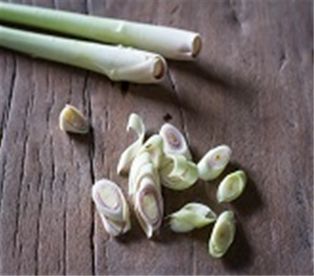 Lemon Grass A&V
