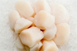 European Sea Scallops