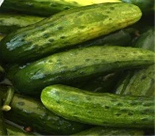 Half Sour Pickles (New) Ny Style