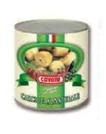 Artichoke Baby Cavani