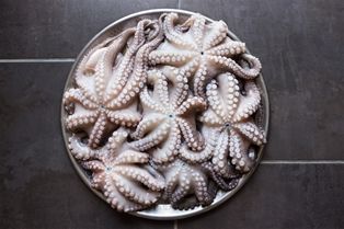 Octopus Spanish Large Whole