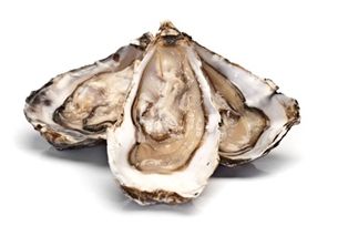 Oysters Kumamoto