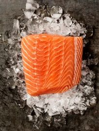 Wild troll King Salmon
