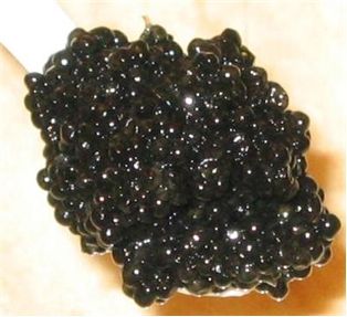 American Sturgeon Hackleback Caviar (1Oz)