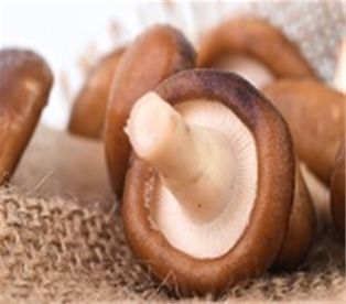 Fresh Shiitake Mushrooms