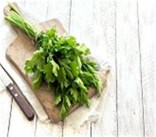 Flat Italian Parsley
