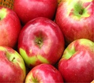 Local McIntosh Apples