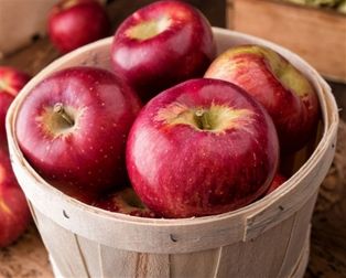 Cortland Apples