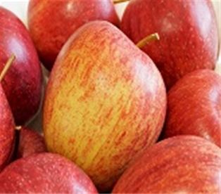 Local Gala Apples