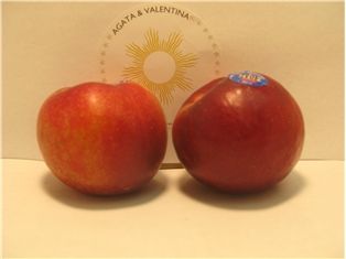 Red Plums