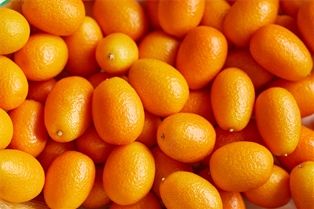 Kumquats