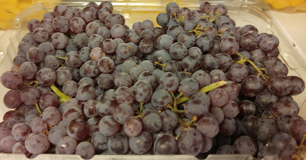 Champagne Grapes