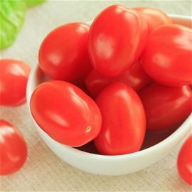 Grape Tomatoes (1pt.)