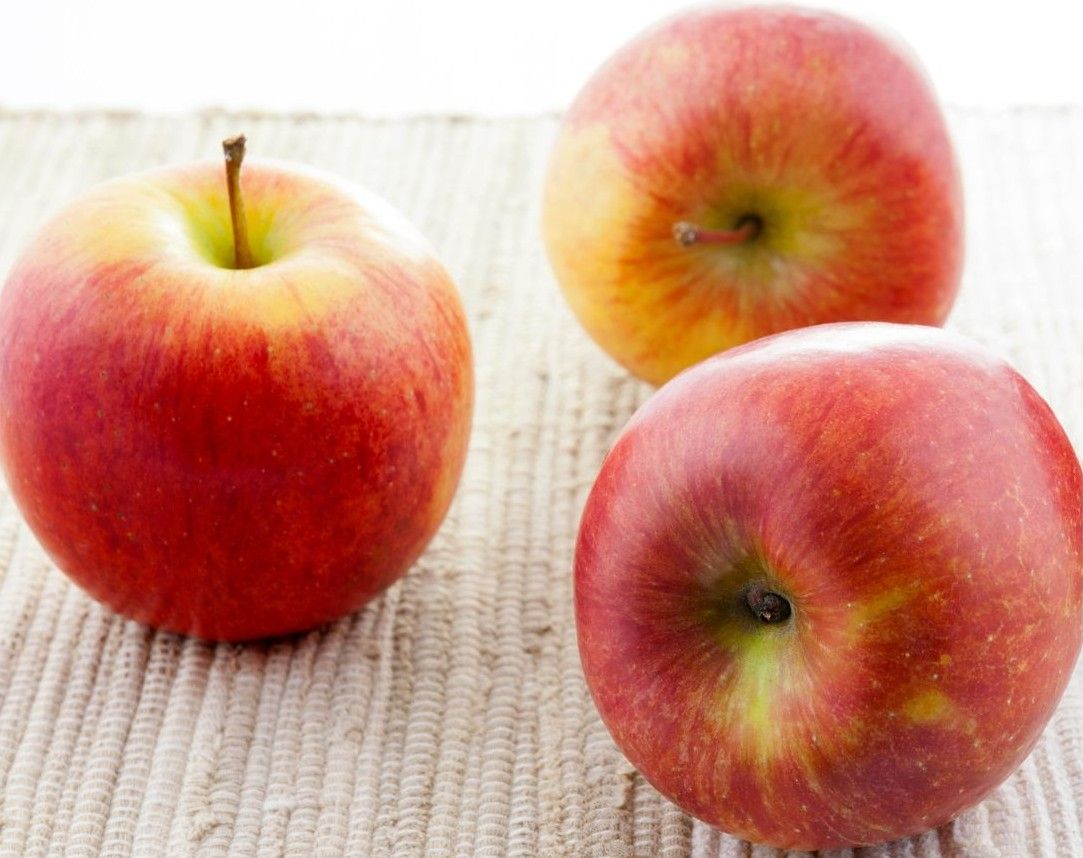 Apples Kiku