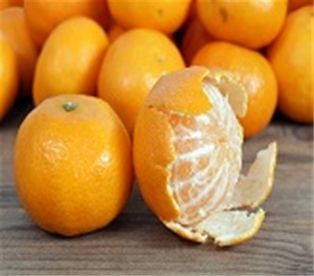 Clemtines oranges 5LB Gift Box