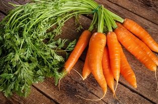 Carrots Bunch