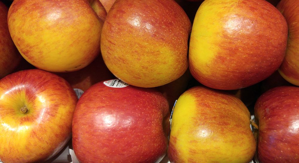 Braeburn Apples