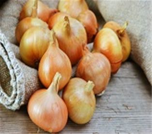 Organic Yellow Onions