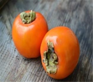 Persimmons Hachiya