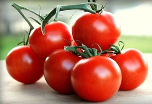 Campari Tomatoes (16oz.)