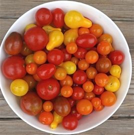 Cherry Tomatoes Medley Mix (12 oz.)