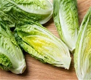 Organic Romaine Lettuce
