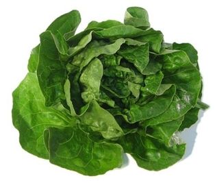 A&V Butter Lettuce Leaves (5oz)
