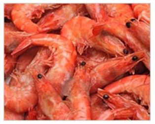 Shrimp Platter (6oz.)