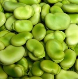Peeled Fava Beans, Fren (15 oz.)