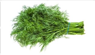 A&V Fresh Dill (1oz)
