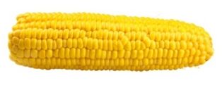 Corn Organic (4pk)