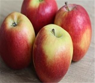 Jazz Apples