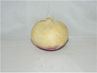 Turnips