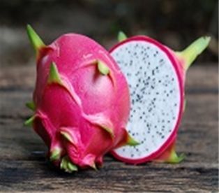 Dragon Fruit