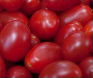 Cherub Tomatoes (1pt)