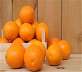 Oranges Navel
