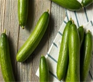 Organic Persian Cucumbers (16 oz.)