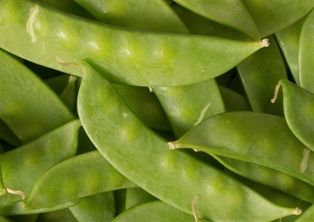Urban Roots Snow Peas (Stringless)