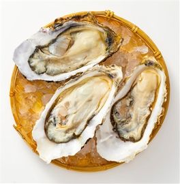 Shucked Oyster Cups 8Oz