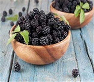 Blackberries (6oz.)